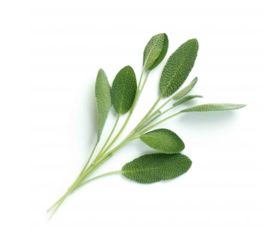 Pikkukuva 2 / 2: Véritable 3760262511108 Pakit kasvienhoitoon & niiden täyttömateriaali Salvia Täyttöpakkaus