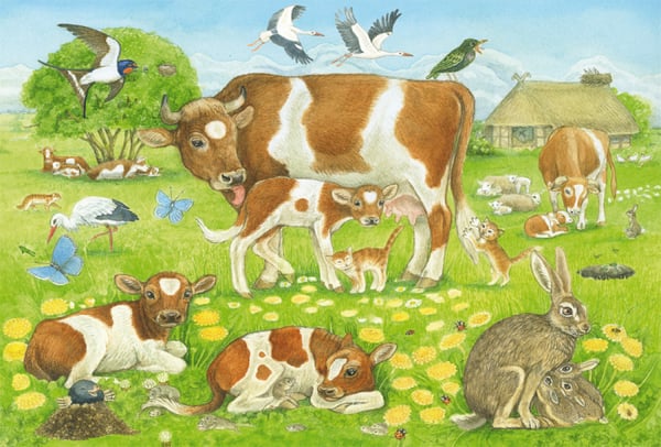 Miniatyrbild 3 av 4: Schmidt Spiele 56222 pussel 48 styck Djurliv
