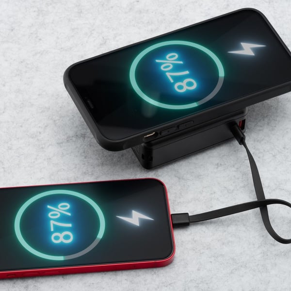 Miniatyrbillede 3 af 13: Forcell 5903396375378 powerbank 15000 mAh Trådløs opladning Sort