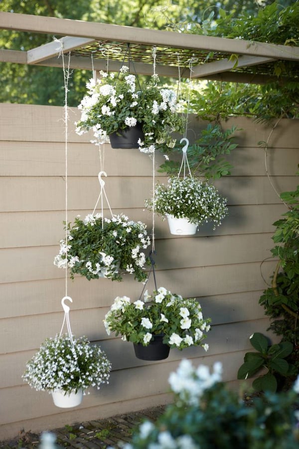 elho green basics hanging basket 28cm Udendørs Kurveplanter Hængende Polypropylen (PP) Sort