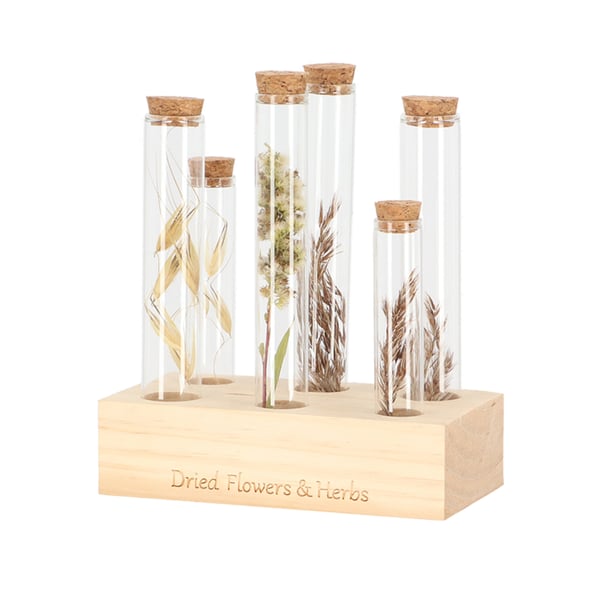 Esschert Design FH022 dekorativ flaske & krukke Transparent, Træ Glas 6 stk
