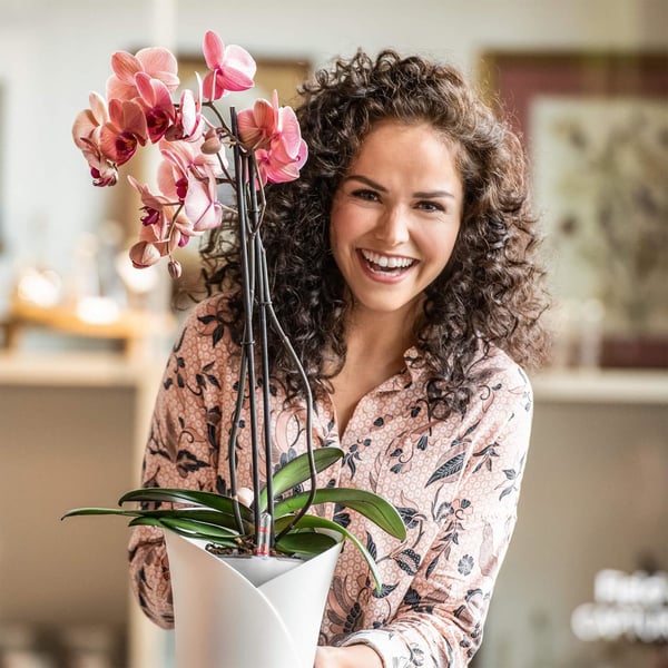 LECHUZA ORCHIDEA Indendørs Potteplante Fritstående Hvid