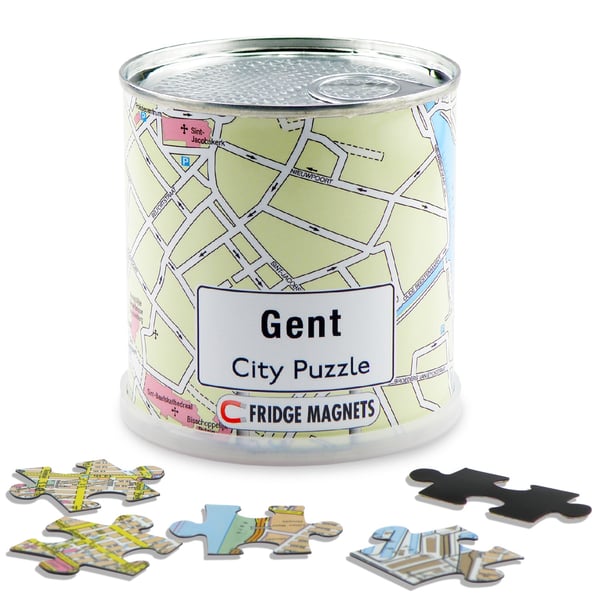 Miniatyrbillede 1 af 2: Extragoods CP.CITYM.067 puslespil Magnetisk puslespil 100 stk By