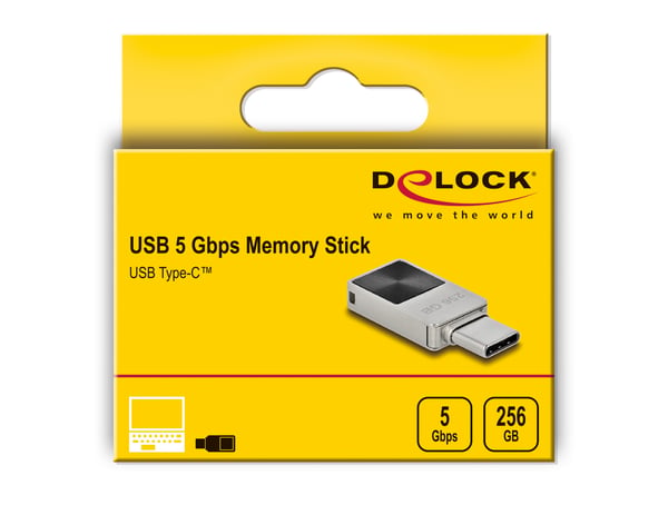 DeLOCK 54009 USB-sticka 256 GB USB Type-C 3.2 Gen 1 (3.1 Gen 1) Svart, Grå