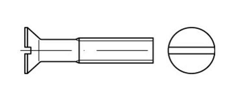 Toolcraft 1065638 skrue/bolt 30 mm 500 stk M5