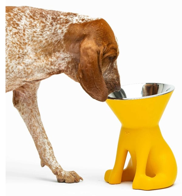 Miniatyrbild 6 av 8: United Pets Elizabeth Hund Matskål för husdjur