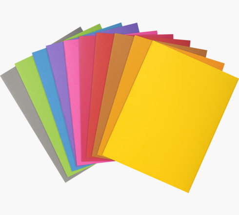 Exacompta 800001E mappar Kartong Multifärg A4 Exacompta 800001E mappar Kartong Multifärg A4
