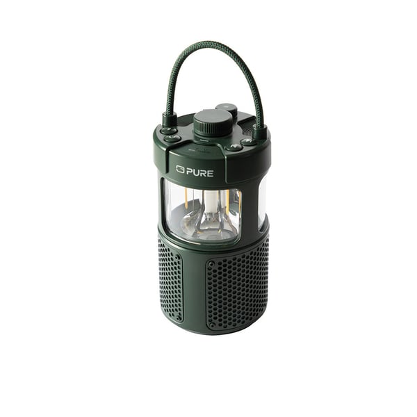Pure 252584 bärbara högtalare och partyhögtalare Grön 20 W