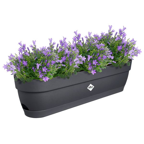 Miniatyrbillede 4 af 11: elho 8711904521936 plantekasse Plast Sort