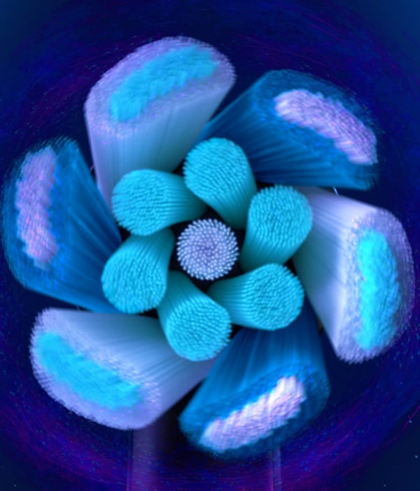 Miniatyrbild 5 av 9: Oral-B iO Ultimate Clean 4 styck Vit