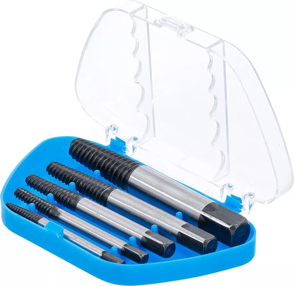 BGS technic Screw Extractor Set pistorasia