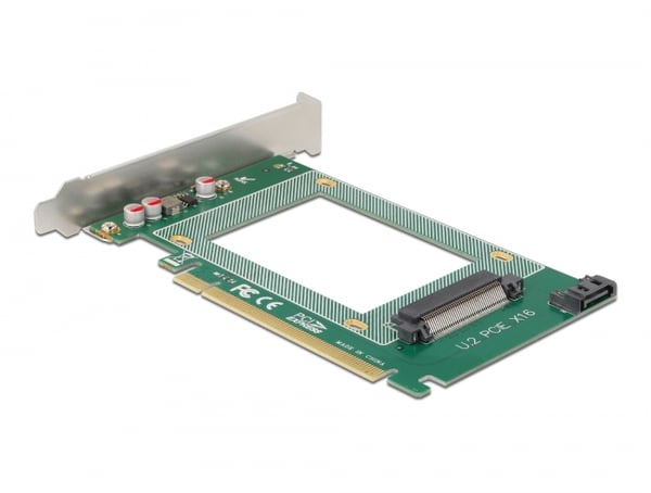 DeLOCK 90051 nätverkskort/adapters Intern U.2