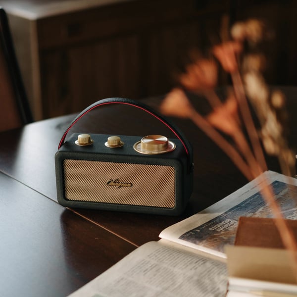 Miniatyrbillede 8 af 8: Sangean RA-101 Bærbar Analog Sort, Guld