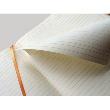 Miniatyrbillede 6 af 6: Rhodia 117704C blok og notesblok A4+ 80 ark Gråbrun