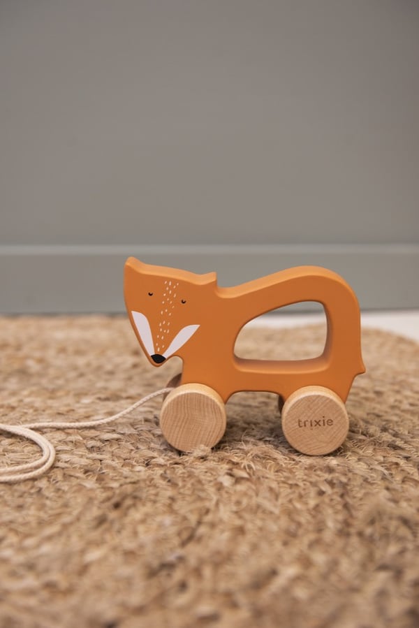 Pikkukuva 2 / 2: Trixie Baby 36-200 push-pull lelu