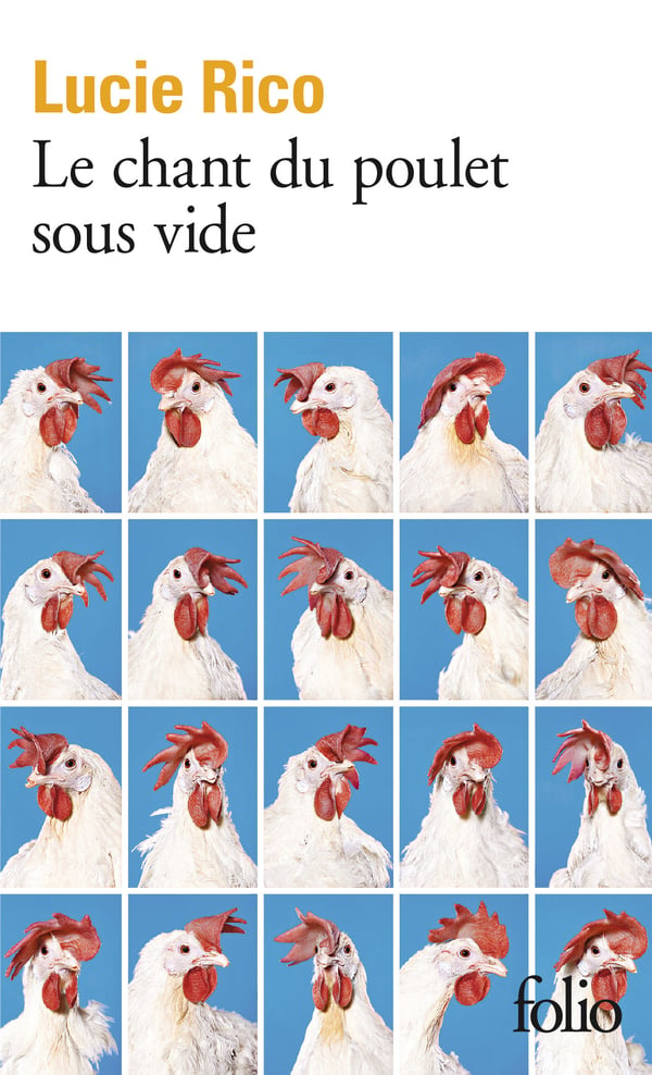 9782072936845 böcker Franska 256 sidor