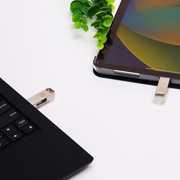 PNY HP x206C USB-nøgle 64 GB USB Type-A / USB Type-C 3.2 Gen 1 (3.1 Gen 1) Sølv