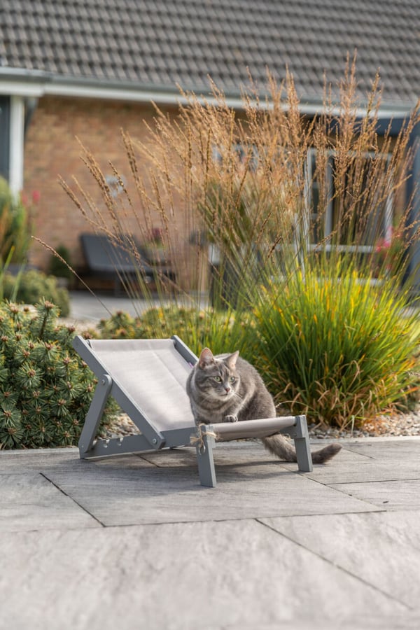 TRIXIE 43205 Bädd för hund och katt Husdjursfåtölj