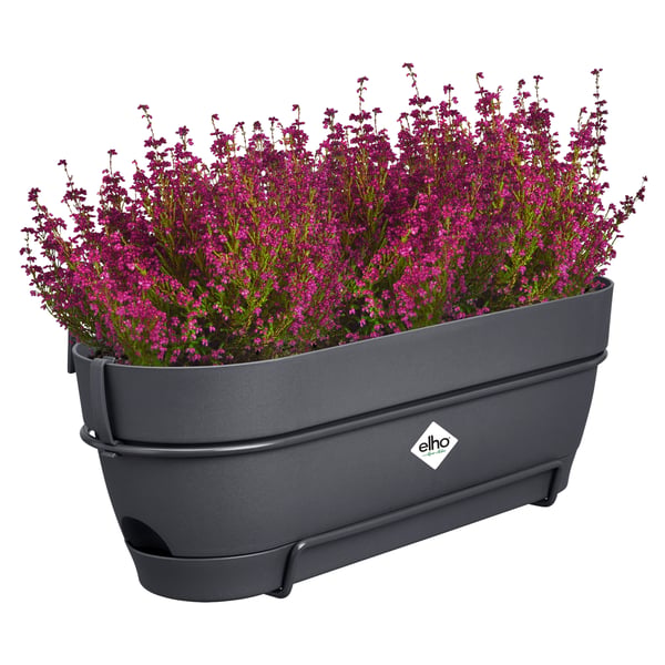 elho 8711904522230 plantekasse Plast Sort