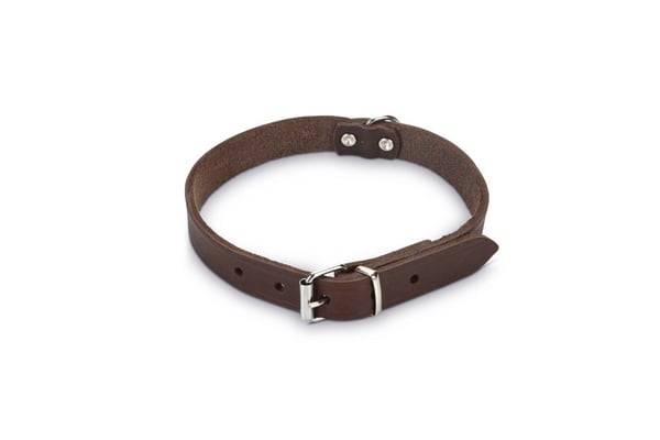 Miniatyrbillede 1 af 4: Beeztees 735346 Brun Læder Hund Standardkrave