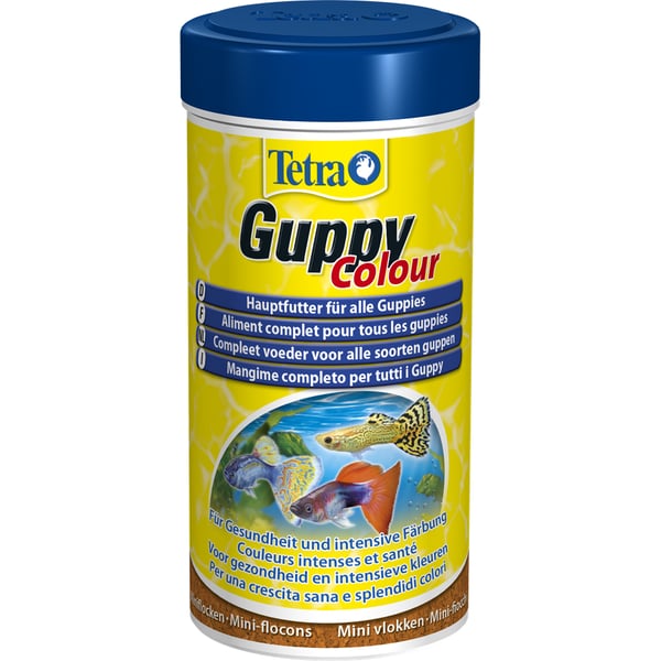 Pikkukuva 1 / 2: Tetra Guppy Colour 0,25 L
