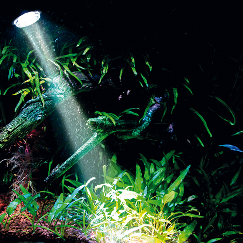 Miniatyrbillede 8 af 18: HOBBY Aquaristik Bubble Air Spot colour & moon LED Vekselstrøm Sort