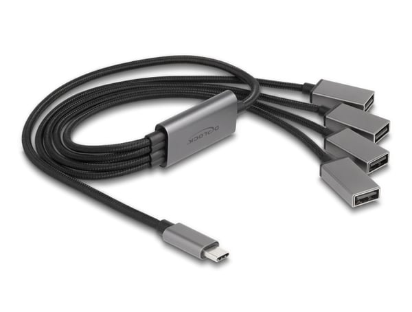 DeLOCK 64210 gränssnittshubbar USB 2.0 Type-C 480 Mbit/s Svart, Grå