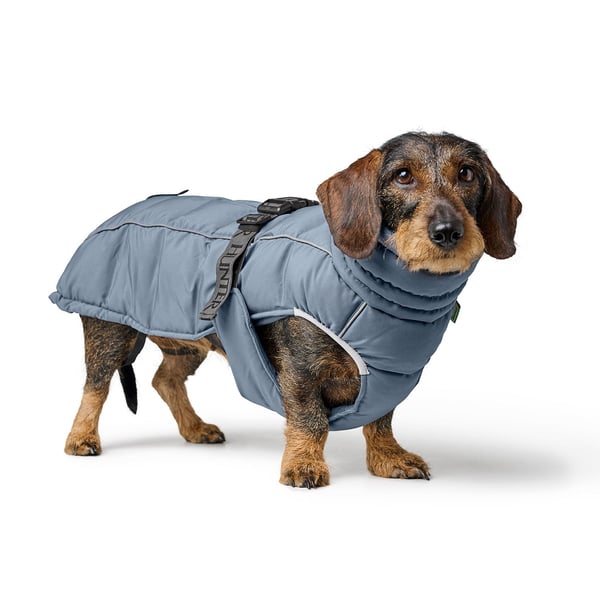 Pikkukuva 3 / 8: Hunter Paxson Dachshund 45 Sininen Polyesteri Koira Takki