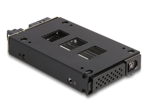 DeLOCK 47005 drive bay panel 2.5" Opbevaring drev bakke Sort, Sølv