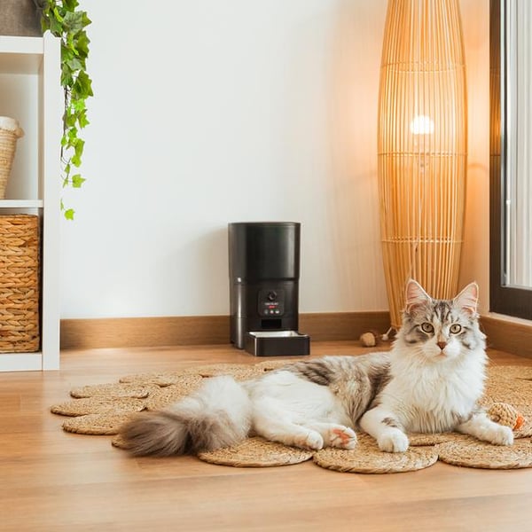 Miniatyrbillede 4 af 12: Cecotec PUMPA 6000 vandskål og foderautomat til hund og kat Plast, Rustfrit stål Sort, Blå Universel Automatisk foderautomat til kæledyr