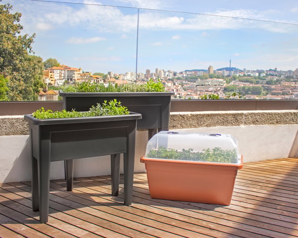 Artevasi Venezia Grow Box 80cm Anthracit 1 stk