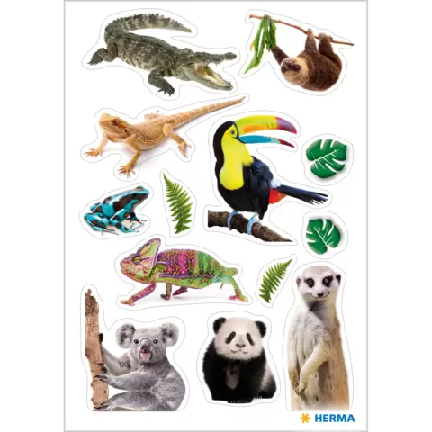 HERMA 15478 koristetarra Paperi Monivärinen Kiinteä
