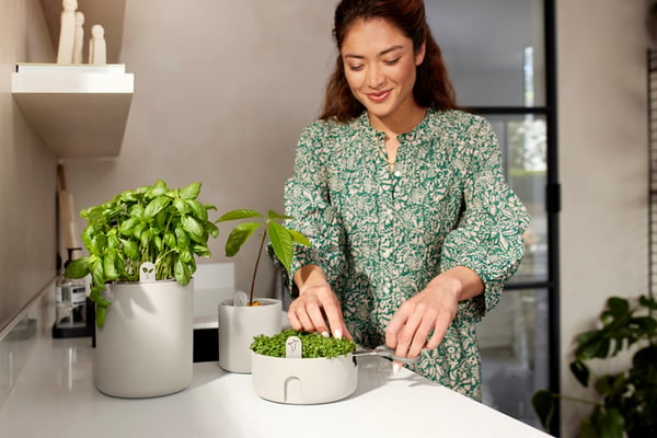 Miniatyrbillede 4 af 10: elho Magic Microgreens Indendørs Bordpotteplante Fritstående Plast Hvid