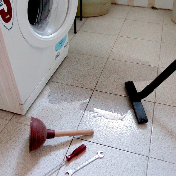 Miniatyrbild 3 av 5: LAVOR Ashley Kombo 28 l Svart, Rostfritt stål, Gul