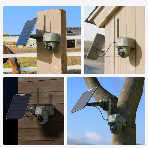 Reolink Go Series G450 + Solar Panel 2 Kupol-formad IP-säkerhetskamera Utomhus 3840 x 2160 pixlar Innertak/vägg