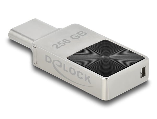 DeLOCK 54009 USB-sticka 256 GB USB Type-C 3.2 Gen 1 (3.1 Gen 1) Svart, Grå