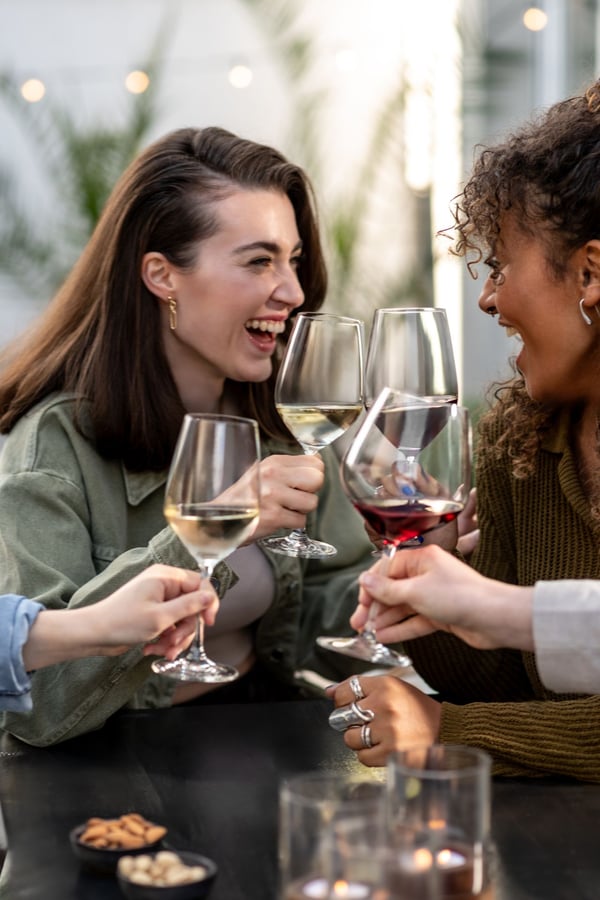 SCHOTT ZWIESEL Forté 404 ml Hvidvinsglas