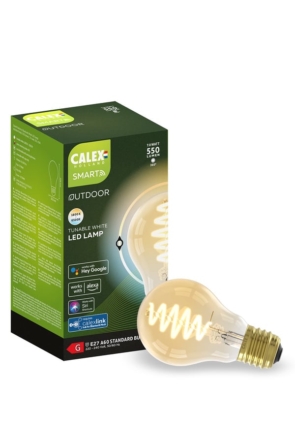 Miniatyrbillede 2 af 2: Calex 5001002000 LED-lampe 7 W E27 G