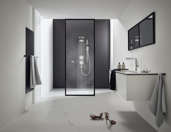 Hansgrohe 76063000 vandhane til badeværelse Krom