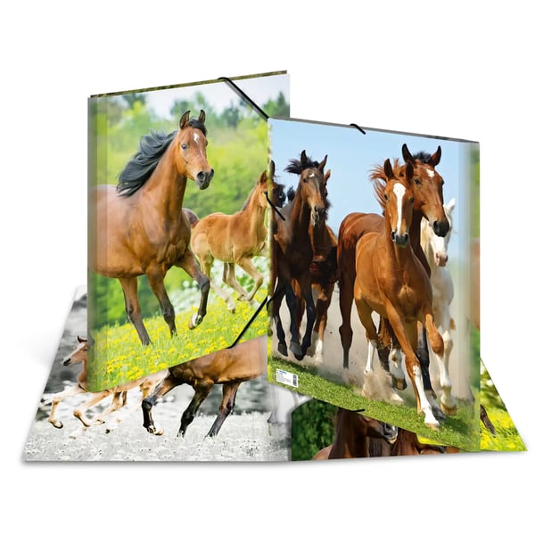 HERMA 7145 mappar Polypropylen (PP) Multifärg A3 HERMA 7145 mappar Polypropylen (PP) Multifärg A3