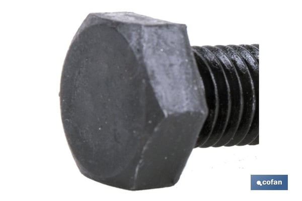 Miniatyrbillede 2 af 2: Cofan 00161845 skrue/bolt 45 mm