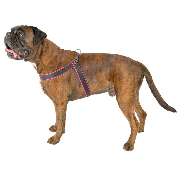Ferplast Agila Fluo Svart, Fuchsia Nylon Hund Västsele