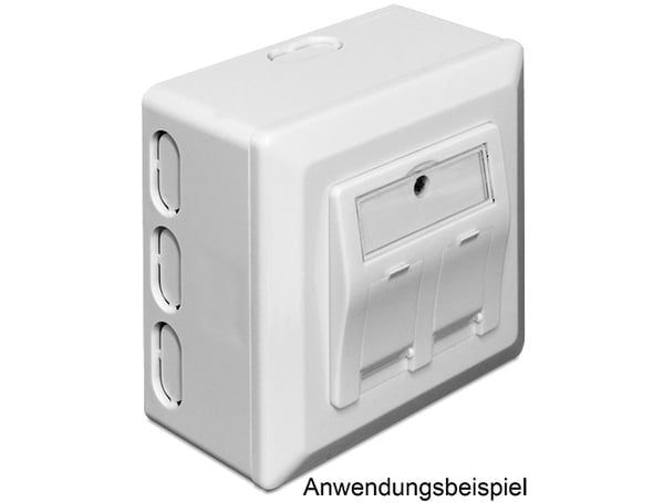 Miniatyrbillede 2 af 4: DeLOCK 86128 tilslutningsdåse