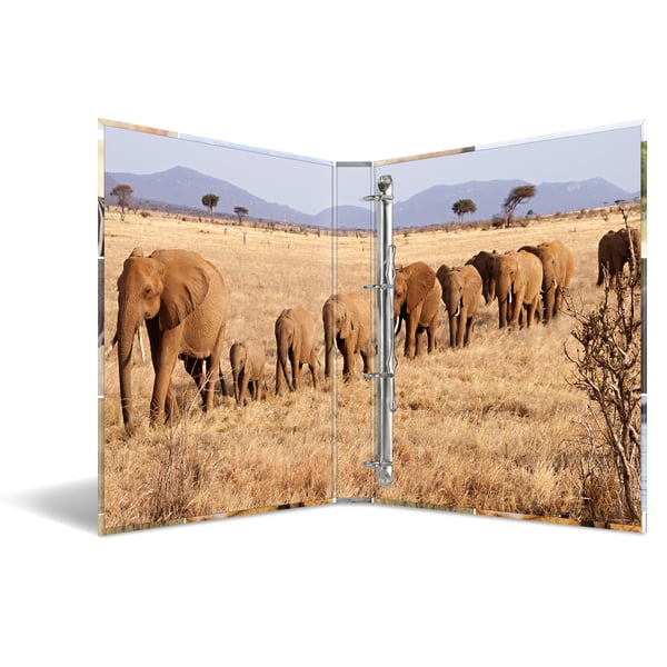 HERMA 4D Africa Animals ringpärmar A4 Multifärg