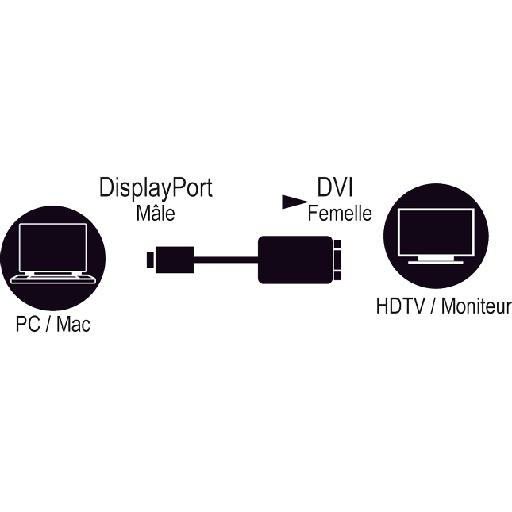 MCL CG-290CAZ videokabel adapter 0,15 m DisplayPort DVI Sort