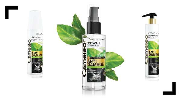 Delia Cosmetics Cameleo Anti-Damage Hårlak Kvinder 150 ml