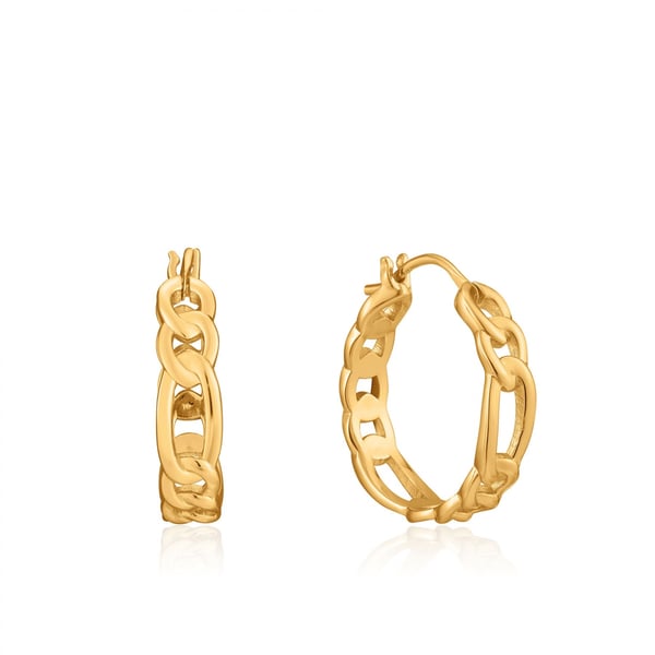 Ania Haie E021-04G örhänge Örringar Sterling silver Guld