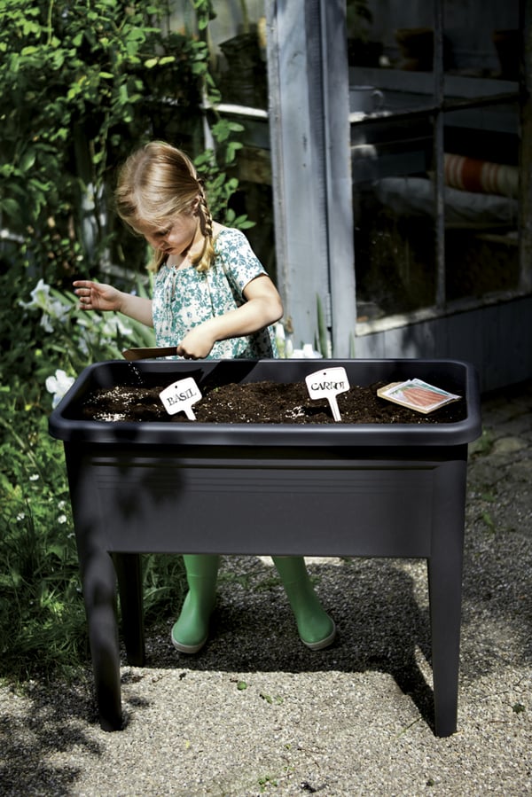 Miniatyrbillede 6 af 6: elho Green Basic Grow Table XXL Udendørs Bordpotteplante Fritstående Polypropylen (PP) Sort