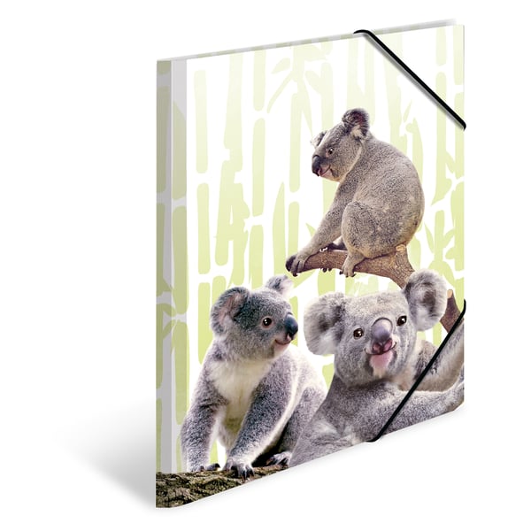 HERMA Koalafamily Polypropylen (PP) Flerfarvet A3