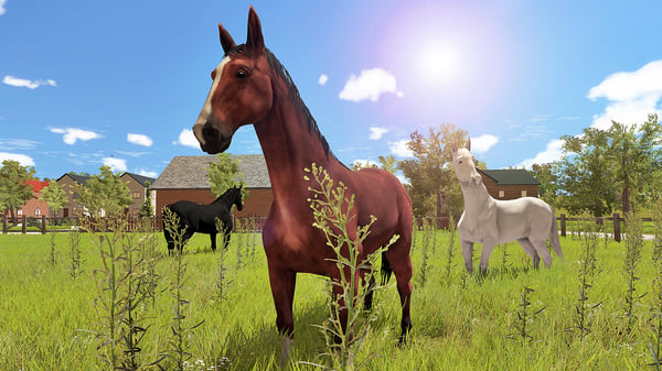 Bigben Interactive My Little Riding Champion, PS4 Standard PlayStation 4